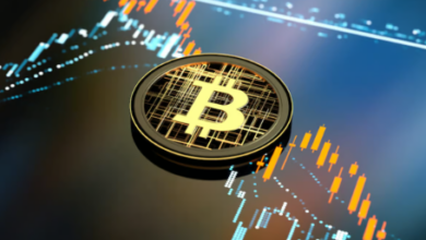 1bggz9tcn4rm9kbzdn7kprqz87sz26samh