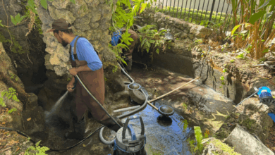 Experienced Pond Expert Near Me for Pond Repair Services