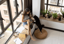 Moving to Phuket with Pets: Finding the Perfect Pet-Friendly Home