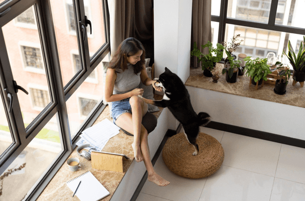 Moving to Phuket with Pets: Finding the Perfect Pet-Friendly Home