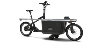 A Guide to Using Cargo Box and Speed Tracking on Lastenrad E-Bikes