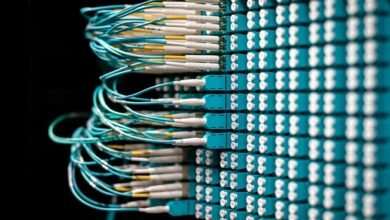 account names under inspection for integrity