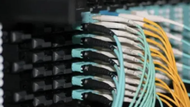Why Armored MPO Patch Cord Is Gaining Importance in Modern Fiber Networks