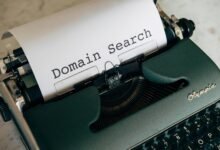 web and domain legitimacy check names