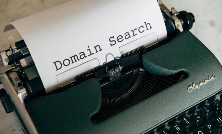web and domain legitimacy check names