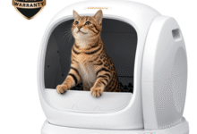 Manual vs. Automatic Litter Boxes: Which Saves More Sleep?