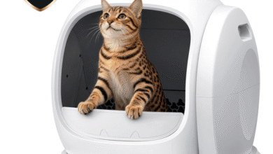 Manual vs. Automatic Litter Boxes: Which Saves More Sleep?