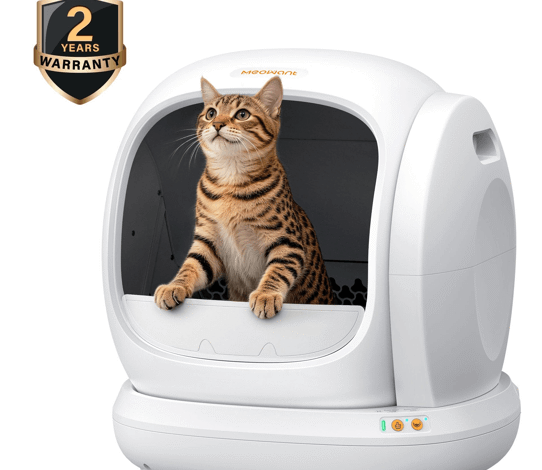 Manual vs. Automatic Litter Boxes: Which Saves More Sleep?