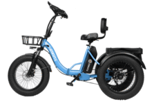 Are Folding Ebikes the Key to Efficient Urban Travel?