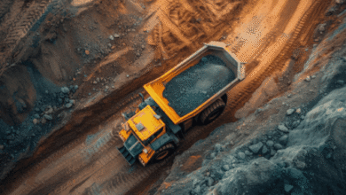 Why Specialized Cargo Increases the Danger of Coal Logging and Refrigeration Accidents