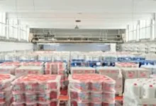 Wholesale Products With High Profit Potential Available at Kole Imports and Why It Is a Leading Wholesale Supplier
