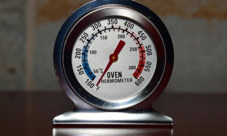 oven temperature specification detail