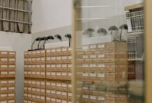secure connectivity observation archive ids