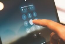 worldwide identity registration numbers listed