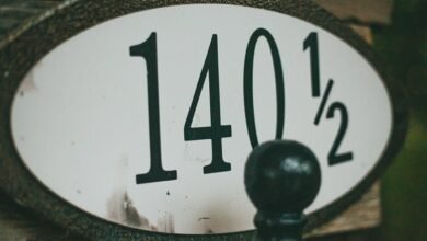 worldwide identity registry numbers listed