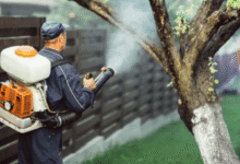 Choosing a Reliable Exterminator – What Homeowners Need to Know