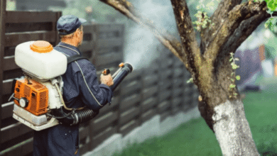 Choosing a Reliable Exterminator – What Homeowners Need to Know
