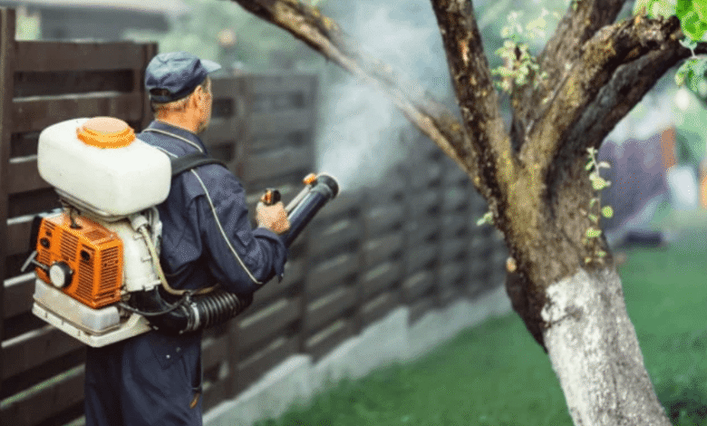 Choosing a Reliable Exterminator – What Homeowners Need to Know