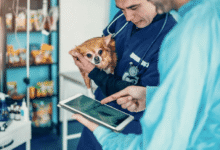 How Technology Is Enhancing Pet Care at Petbook Veterinary Clinic