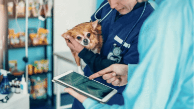 How Technology Is Enhancing Pet Care at Petbook Veterinary Clinic