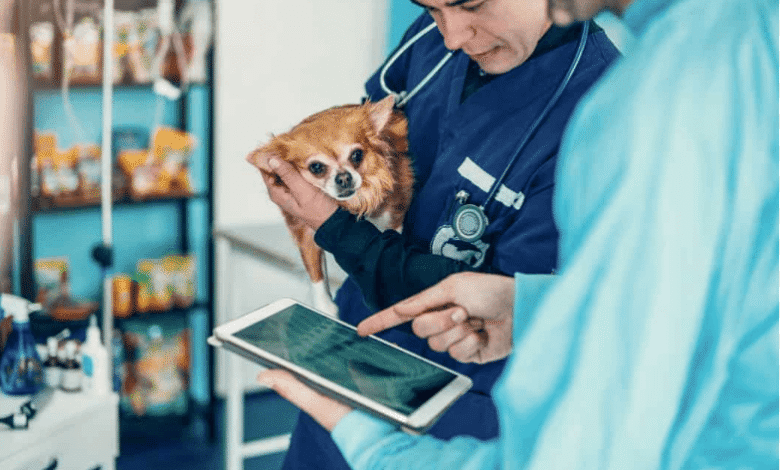 How Technology Is Enhancing Pet Care at Petbook Veterinary Clinic