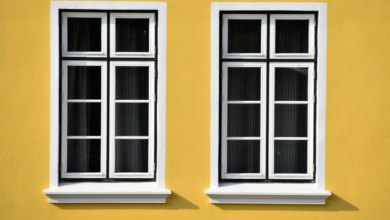 Why These Window Styles Continue Outlasting Design Trends