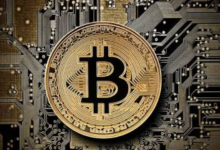 bc1qwqdg6squsna38e46795at95yu9atm8azzmyvckulcc7kytlcckxswvvzej Blockchain Address