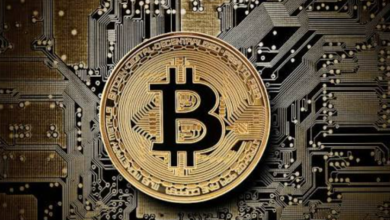 bc1qwqdg6squsna38e46795at95yu9atm8azzmyvckulcc7kytlcckxswvvzej Blockchain Address