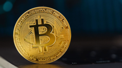 Satoshi Nakamoto Wallet Address