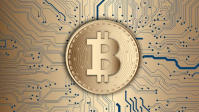 3qhzc96f4bejz3qrogyn95gayzfk5xa5a8 Blockchain Address Analysis