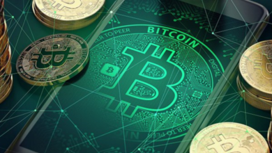 Blockchain Address: 1KFHE7w8BhaENAswwryaoccDb6qcT6DbYY