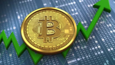 bc1qq904ynep5mvwpjxdlyecgeupg22dm8am6cfvgqBlockchain Address