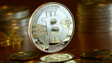 0xb5d85cbf7cb3ee0d56b3bb207d5fc4b82f43f511 Blockchain Address