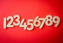 phone numbers for network intelligence review