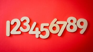 phone numbers for network intelligence review