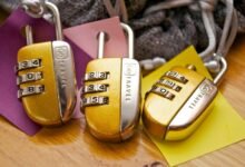 hidden numeric identifiers reveal details