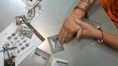 list of investigation numbers