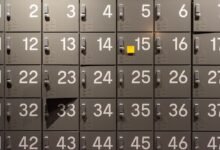 list of numeric activity ids listed