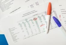 record ids list summary details