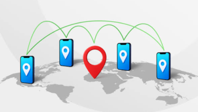 122.176.83.125: How IP Addresses Support Online Communication