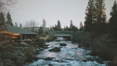 How NAEGELI Deposition & Trial Serves Bend as Central Oregon's Legal Hub