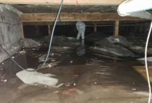 Why Does Your Crawl Space Flood? Causes, Risks, and Lasting Solutions