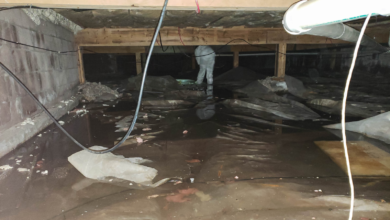 Why Does Your Crawl Space Flood? Causes, Risks, and Lasting Solutions