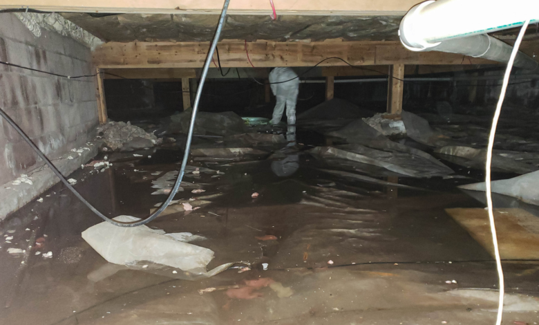 Why Does Your Crawl Space Flood? Causes, Risks, and Lasting Solutions