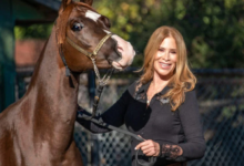What the Purebred Arabian Horse Owned by Philanthropist Ann Lesley Smith Has Taught Her About Grace, Patience, and Purpose