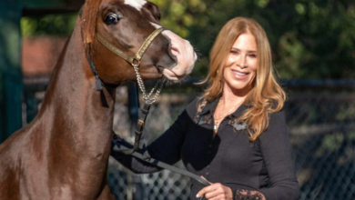 What the Purebred Arabian Horse Owned by Philanthropist Ann Lesley Smith Has Taught Her About Grace, Patience, and Purpose