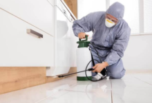 When Do You Need Urgent Help from a Professional Pest Control Company?