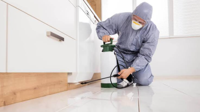 When Do You Need Urgent Help from a Professional Pest Control Company?